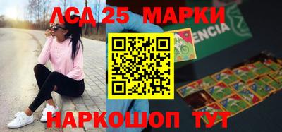 гидра Будённовск