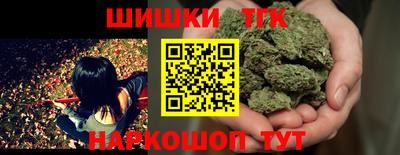 гидра Будённовск