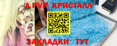 гидра Будённовск