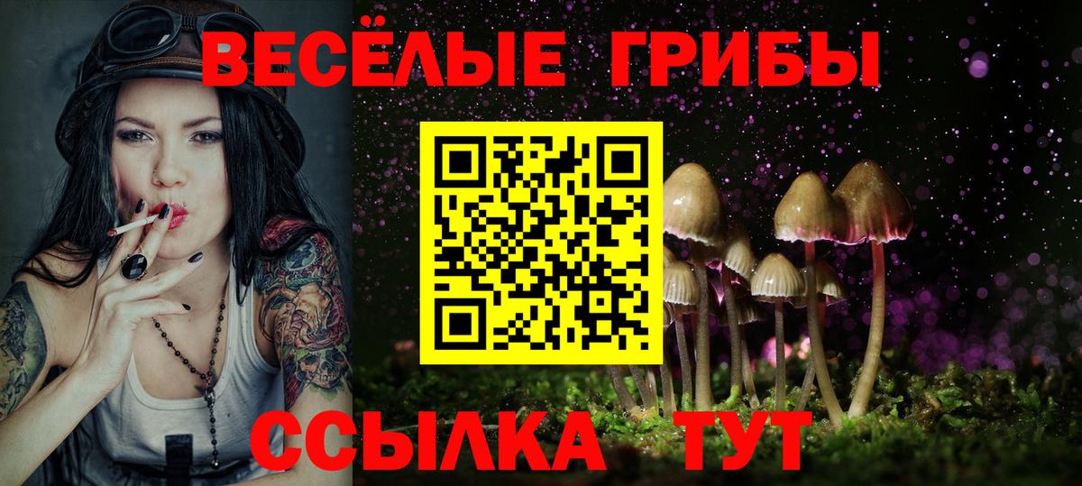 Галлюциногенные грибы GOLDEN TEACHER Химки